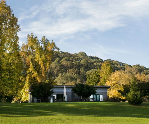 Buffalo Motel And Country Retreat - Accommodation Melbourne 6