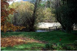 Buffalo Motel And Country Retreat - Accommodation Melbourne 9