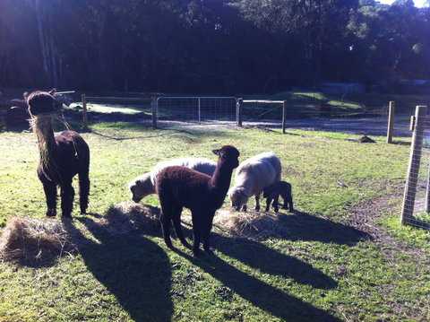 Lalee Farm - Accommodation Melbourne 2