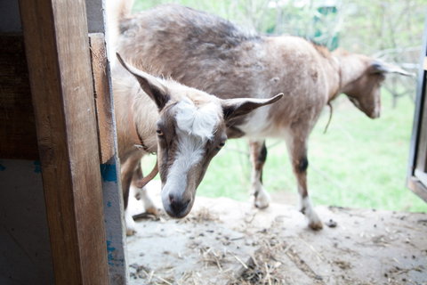 Lalee Farm - Accommodation Melbourne 3