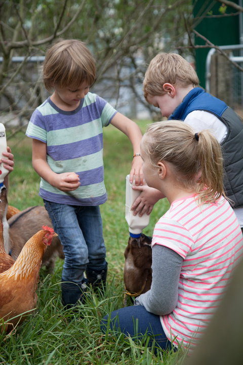 Lalee Farm - Accommodation Melbourne 5