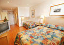 Haven Glebe, Sydney - Accommodation Melbourne 3