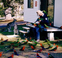 Inland Waters Holiday Parks Burrinjuck - Accommodation Melbourne