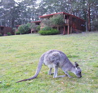 Jenolan Caves Cottages - Accommodation Melbourne
