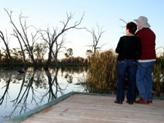 Kingston-On-Murray Caravan Park - Accommodation Melbourne 2