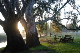 Mudgee's Getaway Cottages - Accommodation Melbourne 3