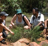 Nitmiluk Tours  Accommodation - Accommodation Melbourne