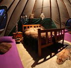 Aranyani Bison Adventure Tourist Park - Accommodation Melbourne