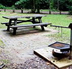 Bellbird campground - Accommodation Melbourne