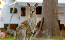 BIG4 Sunshine South West Rocks Holiday Park - South - Accommodation Melbourne 3