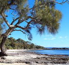 Currarong Beachside Holiday Park - Accommodation Melbourne