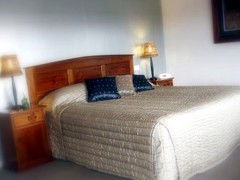 Saltbush Motor Inn - Accommodation Melbourne 4