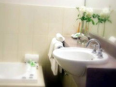 Saltbush Motor Inn - Accommodation Melbourne 5