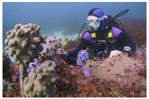 Shellharbour Village Motel - Accommodation Melbourne 2