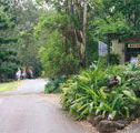 Tamborine Mountain Caravan  Camping - Accommodation Melbourne