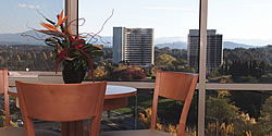 Waldorf Apartment Hotel Canberra - Accommodation Melbourne 5