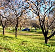 Wellington Caves Caravan Park - Melbourne 4u