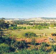 Pecan Hill Bed and Breakfast - Accommodation Melbourne