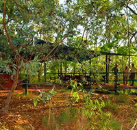 Arnhemland Barramundi Nature Lodge - Melbourne 4u