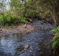 Horse Swamp campground - Accommodation Melbourne