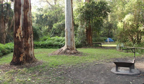 Mill Creek Campground - Accommodation Melbourne 2