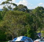 Milton Valley Holiday Park - Accommodation Melbourne