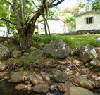Mt Warning Rainforest Park - Accommodation Melbourne