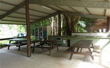 Mt Warning Rainforest Park - Accommodation Melbourne 4