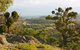 Widgee Murra - thumb 6