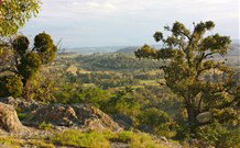 Widgee Murra - Accommodation Melbourne 6