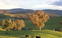 Widgee Murra - Accommodation Melbourne 7