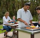 Port Stephens Treescape - Accommodation Melbourne