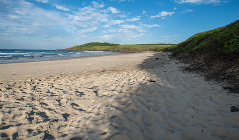 Racecourse Campground - Accommodation Melbourne 2