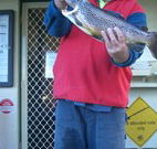 Rainbow Pines Tourist Caravan Park - Melbourne 4u