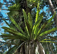 Rummery Park campground - Accommodation Melbourne