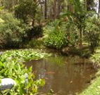 Tallowood Ridge B and B - Accommodation Melbourne
