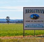 The Ardlethan Kelpie Caravan Park - Accommodation Melbourne
