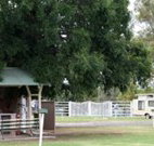 Warialda Caravan Park - Accommodation Melbourne
