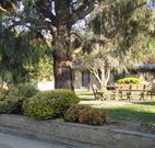 Hamilton Hume Motor Inn - Yass - Accommodation Melbourne
