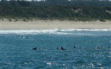 Sussex Shores RSL Units - Sussex Inlet - Accommodation Melbourne 4