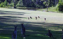 Sussex Shores RSL Units - Sussex Inlet - Accommodation Melbourne 6