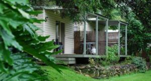 Mt Warning Rainforest Park - Accommodation Melbourne 6