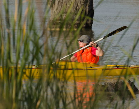 Kingston On Murray Caravan Park - Accommodation Melbourne 4