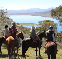 Reynella Homestead and Horseback Rides - Accommodation Melbourne