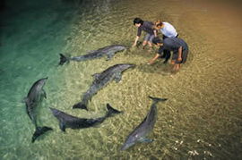 Moreton Island QLD Accommodation Melbourne