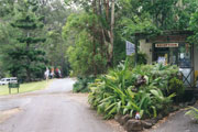 Tamborine Mountain Caravan & Camping - Accommodation Melbourne 0