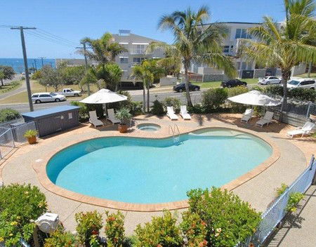 Pandanus Coolum Beach - Melbourne 4u 0