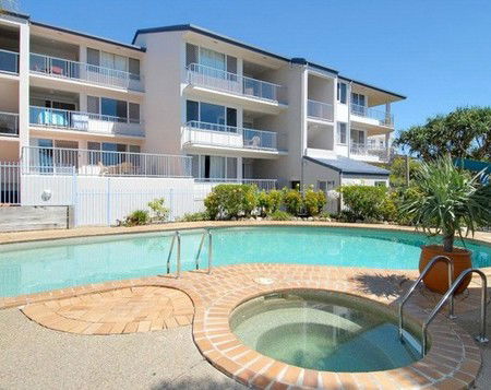 Pandanus Coolum Beach - Melbourne 4u 4