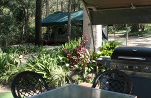 Tamborine Mountain Caravan & Camping - Accommodation Melbourne 2