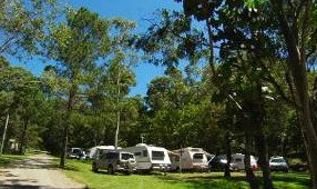 Tamborine Mountain Caravan & Camping - Accommodation Melbourne 3